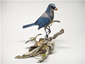 LIFE-SIZE FLORIDA SCRUB JAY