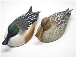 MINIATURE SMOOTHIE NORTHERN SHOVELER PAIR