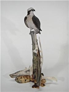 MINIATURE OSPREY