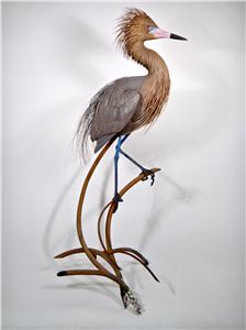 LIFE-SIZE REDDISH EGRET