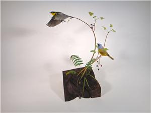 LIFE-SIZE MAGNOLIA WARBLER & MACGILLIVARYS WARBLER