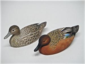 MINIATURE CINNAMON TEAL PAIR