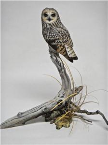 MINIATURE SHORT EARED OWL