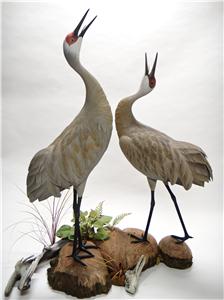 LIFE-SIZE SANDHILL CRANES