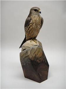 LIFE-SIZE JUVENILE MALE MERLIN