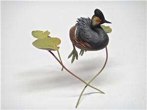 MINIATURE EARED GREBE