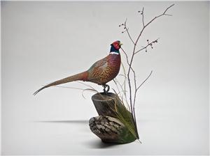 MINIATURE RINGNECK PHEASANT