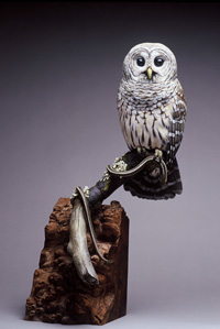 Barred Owl with Garter Snake