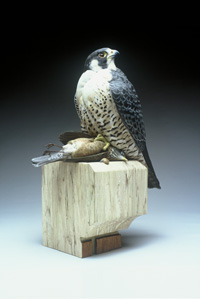 PERGERINE FALCON WITH ROBIN