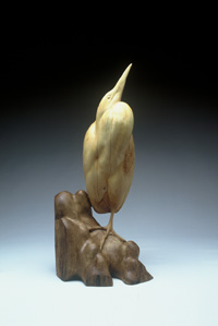 Interpretitive - AMERICAN BITTERN Maple Wood with Tung Oil finish