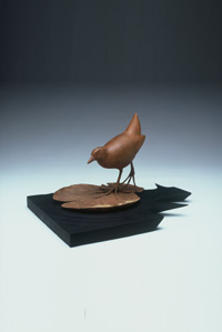 SORA RAIL Apple wood on maple base