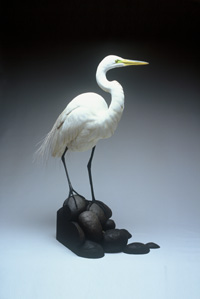 GREAT EGRET