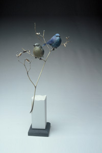 MOUNTAIN BLUEBIRD PAIR