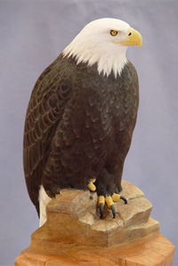1/2 Size BALD EAGLE...