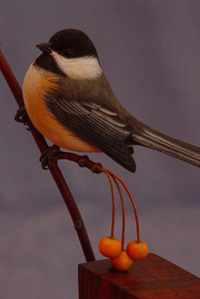 BLACK CAPPED CHICKADEE
