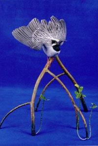 YELLOW CROWN NIGHT HERON
