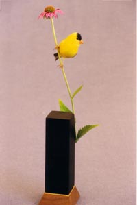 GOLD FINCH