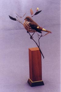 FOX SPARROW