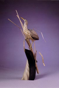 AMERICAN BITTERN
