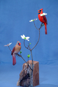 Cardinal Pair  on dogwood