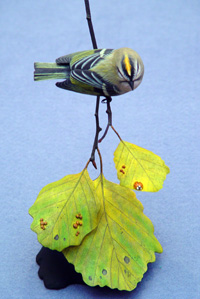 Golden-crowned Kinglet