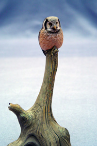 Miniature Hawk Owl