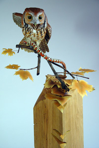 Screech Owl with Milk snake