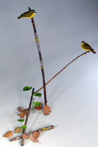 Kentucky Warbler pair