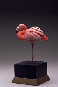 Miniature GREATER FLAMINGO